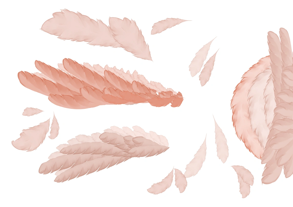 Wings and Feathers Brush - Detailed View